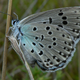 Image: PJC&Co/Wikimedia Commons